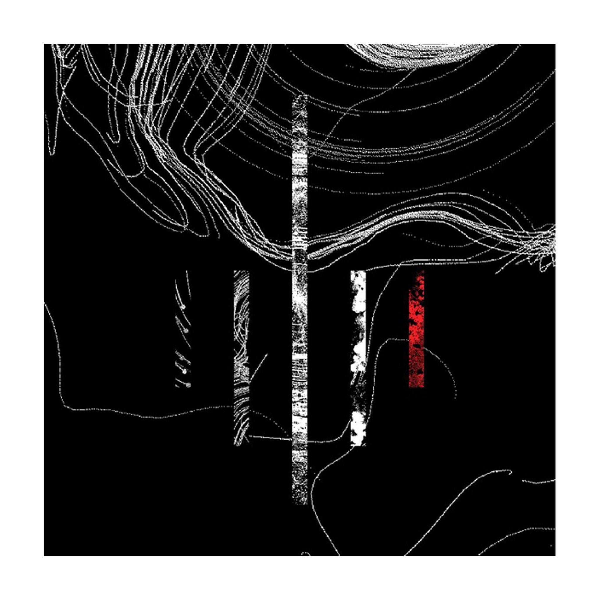 Dubfire 12" Vinyl by CHLLNGR