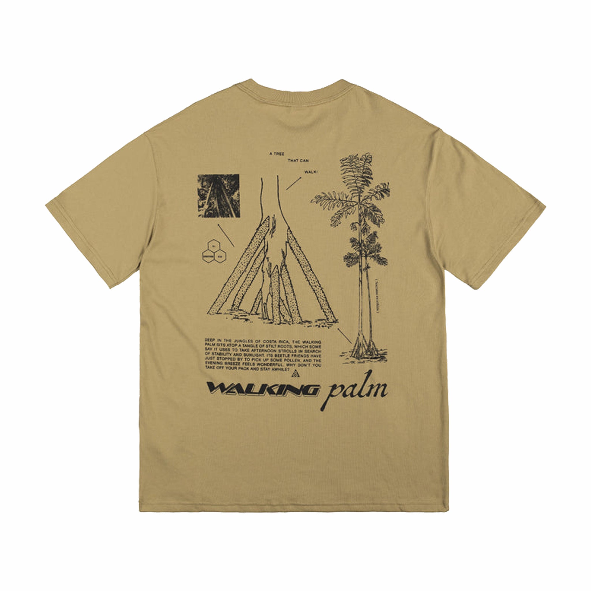 Nike ACG Dri-FIT Hiking Tee in Beige