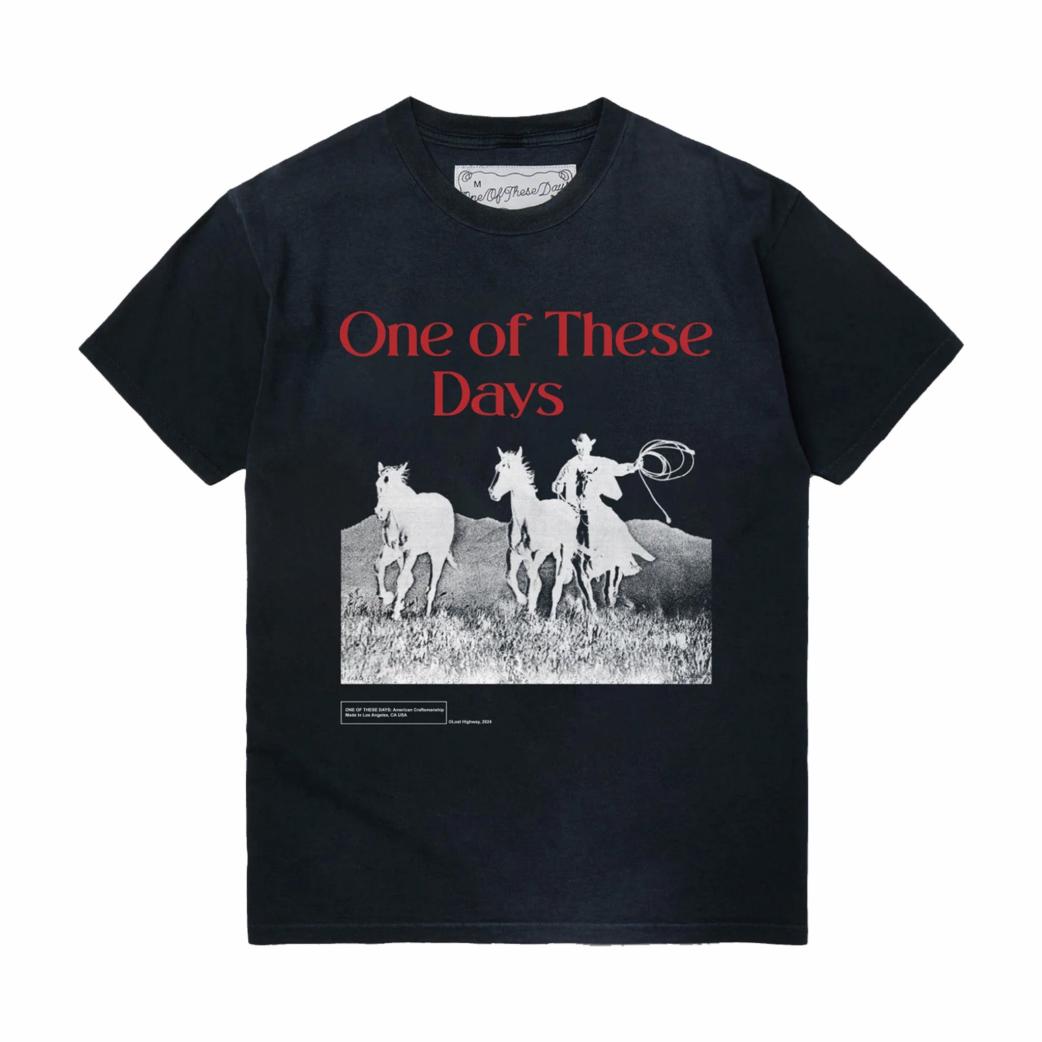 Sun-Faded Black Across The Planes Graphic Tee
